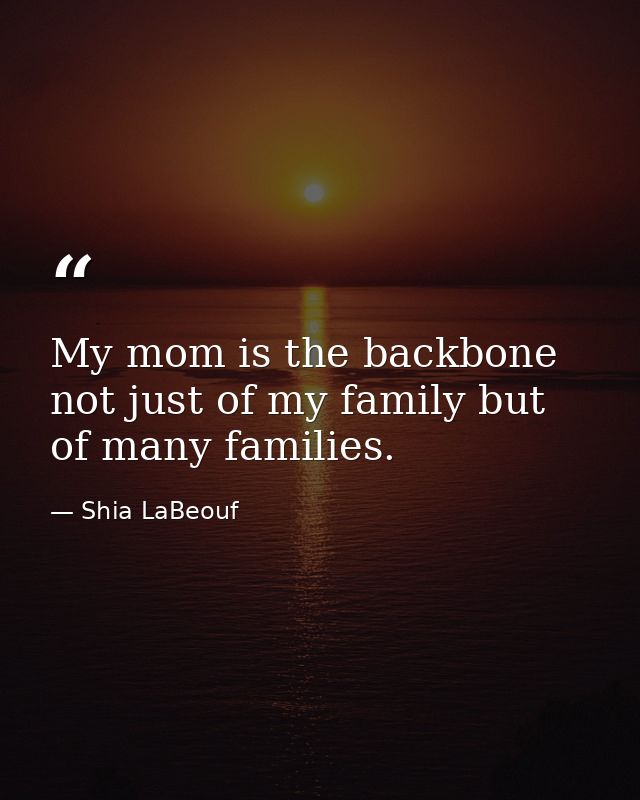 My mom is the backbone not just of my family but of many families. — Shia LaBeouf