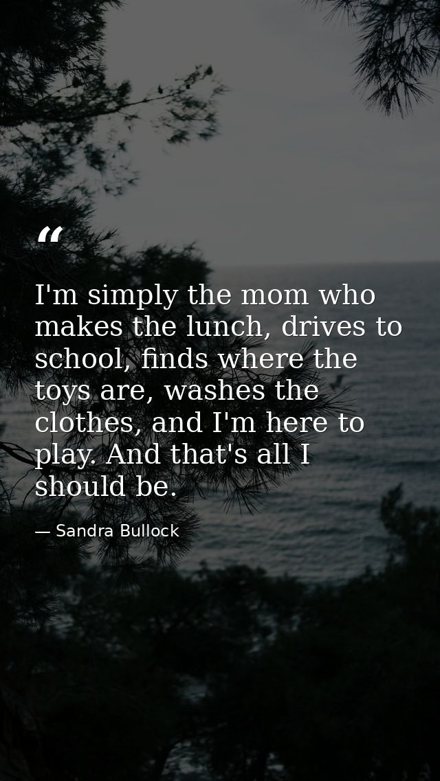 I'm simply the mom who makes the lunch, drives to school, finds where the toys are, washes the clothes, and I'm here to  — Sandra Bullock