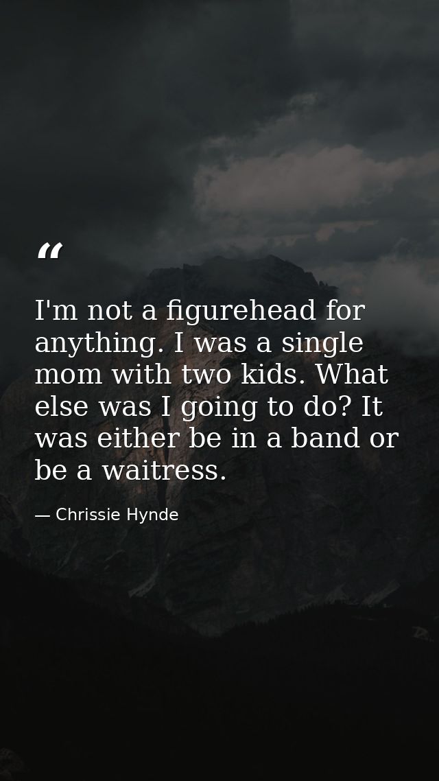 I'm not a figurehead for anything. I was a single mom with two kids. What else was I going to do? It was either be in a  — Chrissie Hynde
