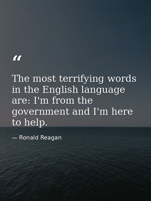 The most terrifying words in the English language are: I'm from the government and I'm here to help. — Ronald Reagan