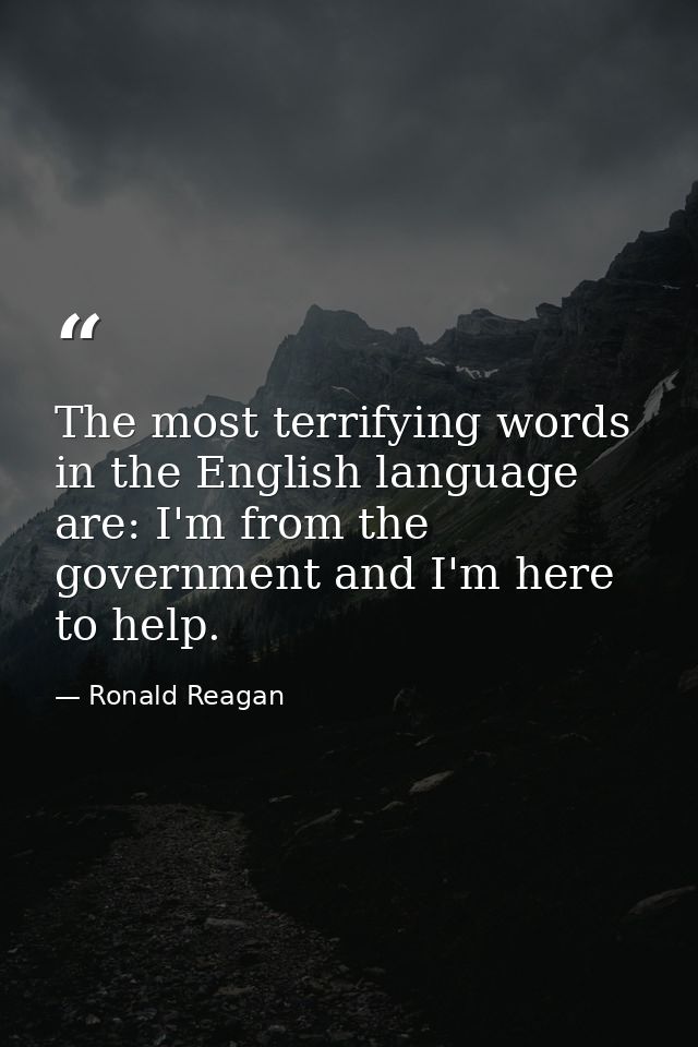The most terrifying words in the English language are: I'm from the government and I'm here to help. — Ronald Reagan