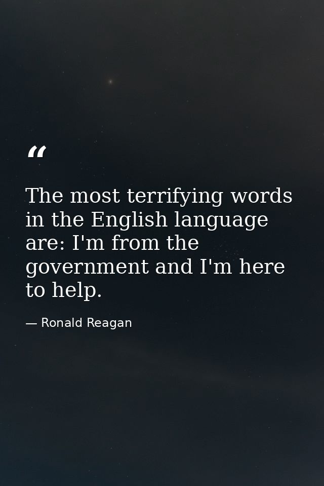 The most terrifying words in the English language are: I'm from the government and I'm here to help. — Ronald Reagan