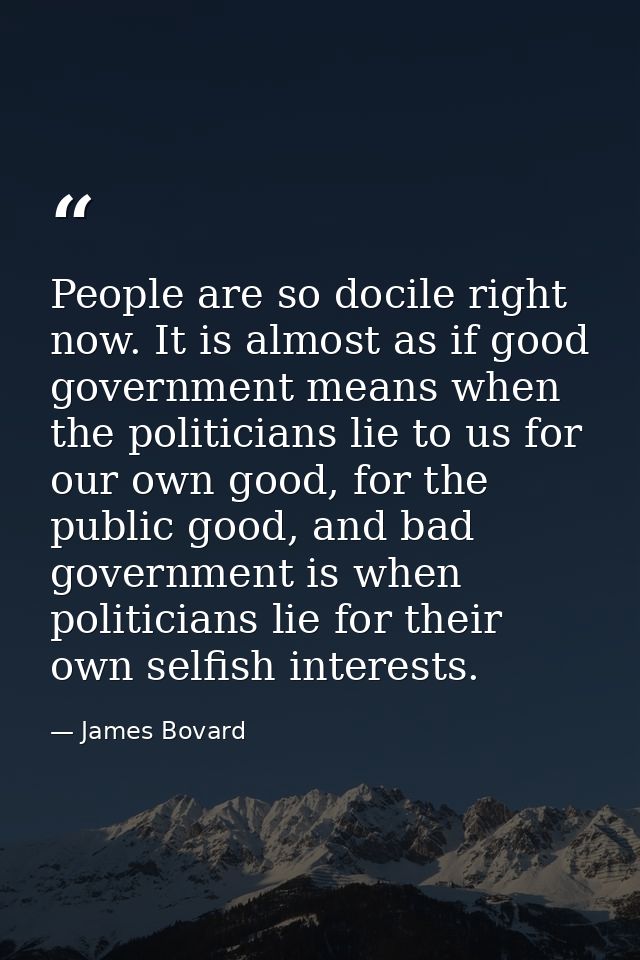 People are so docile right now. It is almost as if good government means when the politicians lie to us for our own good — James Bovard