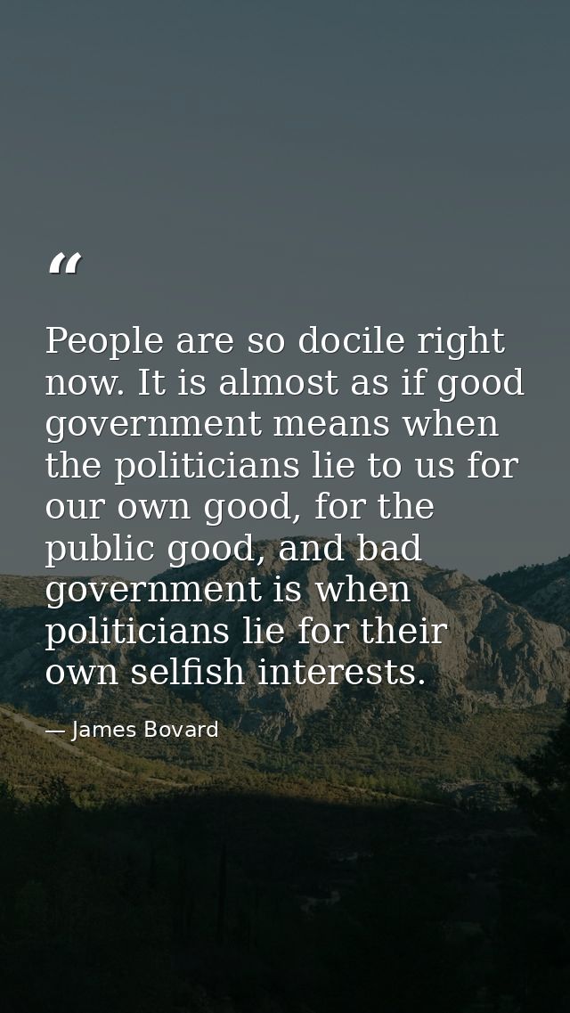 People are so docile right now. It is almost as if good government means when the politicians lie to us for our own good — James Bovard