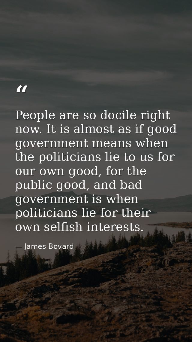 People are so docile right now. It is almost as if good government means when the politicians lie to us for our own good — James Bovard
