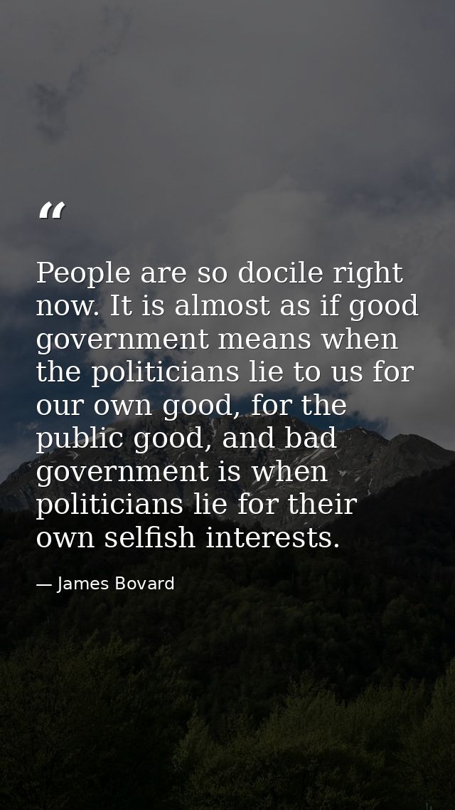 People are so docile right now. It is almost as if good government means when the politicians lie to us for our own good — James Bovard