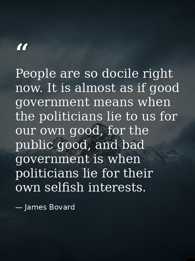 People are so docile right now. It is almost as if good government means when the politicians lie to us for our own good — James Bovard