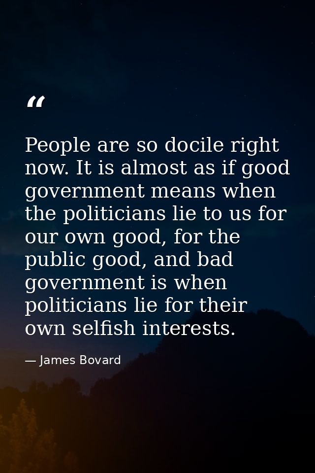 People are so docile right now. It is almost as if good government means when the politicians lie to us for our own good — James Bovard
