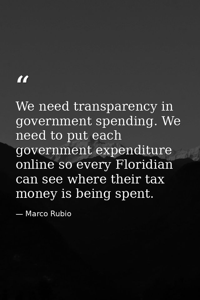 We need transparency in government spending. We need to put each government expenditure online so every Floridian can se — Marco Rubio
