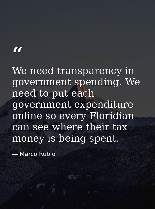 We need transparency in government spending. We need to put each government expenditure online so every Floridian can se — Marco Rubio