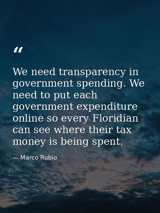 We need transparency in government spending. We need to put each government expenditure online so every Floridian can se — Marco Rubio