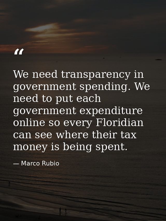 We need transparency in government spending. We need to put each government expenditure online so every Floridian can se — Marco Rubio