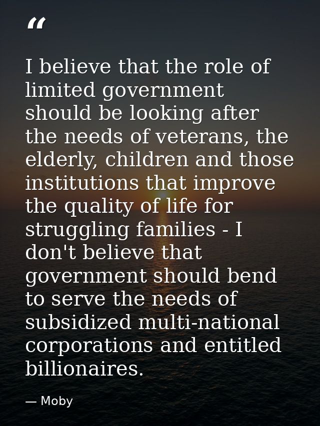 I believe that the role of limited government should be looking after the needs of veterans, the elderly, children and t — Moby