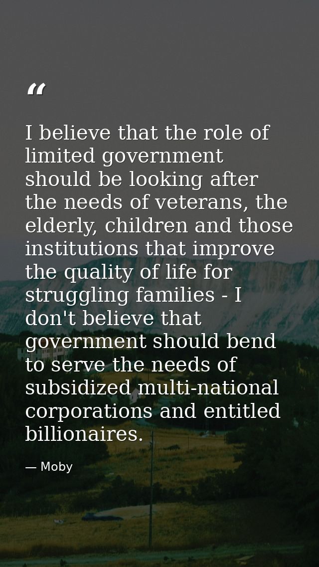 I believe that the role of limited government should be looking after the needs of veterans, the elderly, children and t — Moby