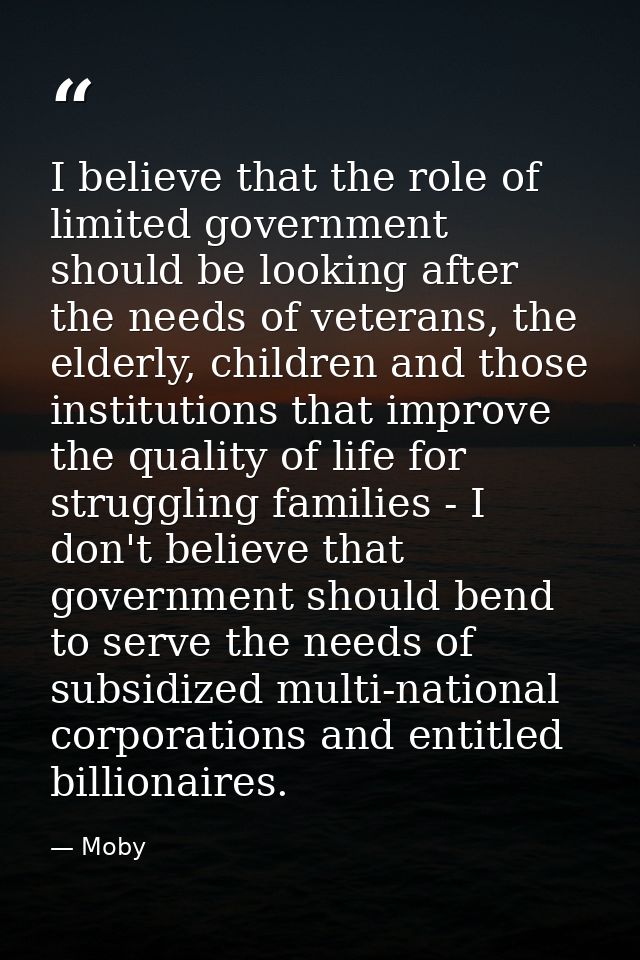 I believe that the role of limited government should be looking after the needs of veterans, the elderly, children and t — Moby