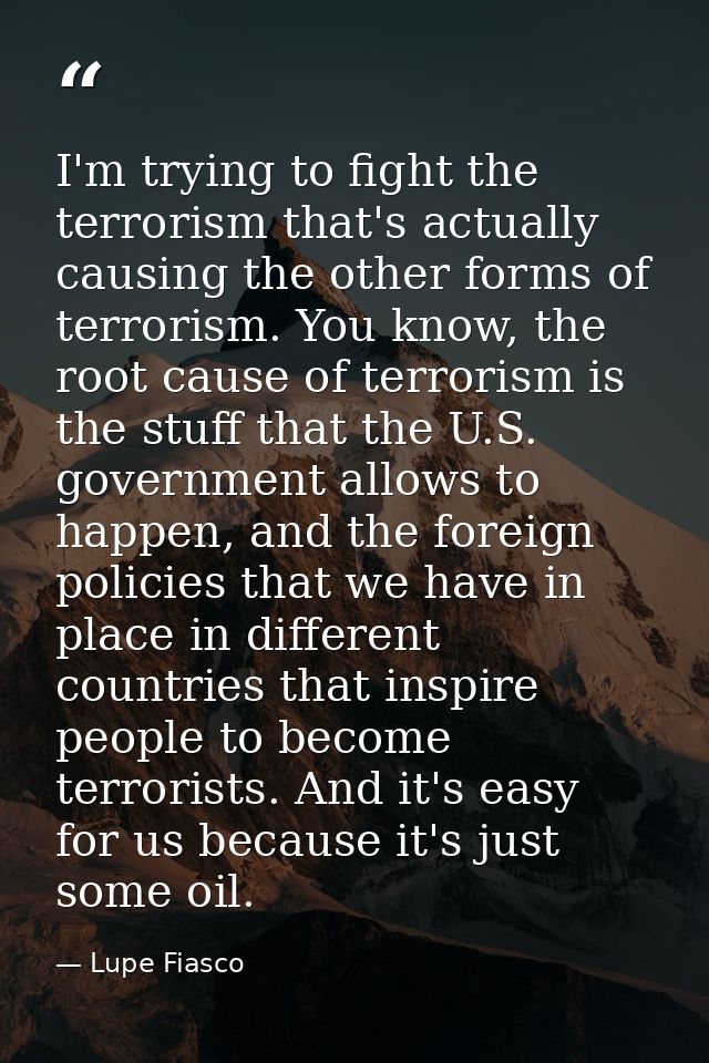 I'm trying to fight the terrorism that's actually causing the other forms of terrorism. You know, the root cause of terr — Lupe Fiasco