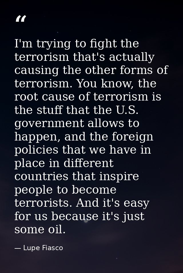 I'm trying to fight the terrorism that's actually causing the other forms of terrorism. You know, the root cause of terr — Lupe Fiasco