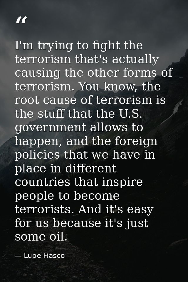 I'm trying to fight the terrorism that's actually causing the other forms of terrorism. You know, the root cause of terr — Lupe Fiasco