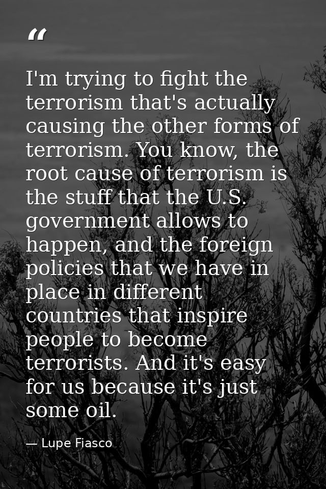 I'm trying to fight the terrorism that's actually causing the other forms of terrorism. You know, the root cause of terr — Lupe Fiasco