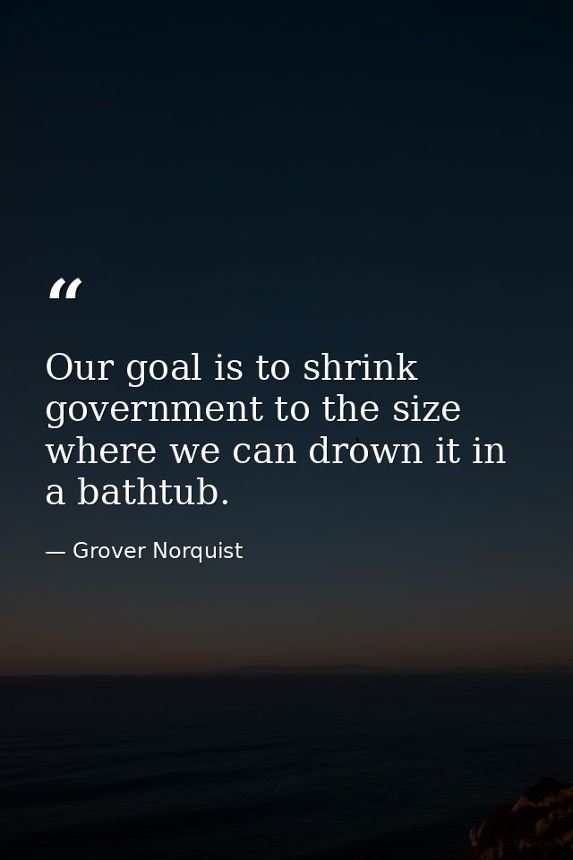Our goal is to shrink government to the size where we can drown it in a bathtub. — Grover Norquist