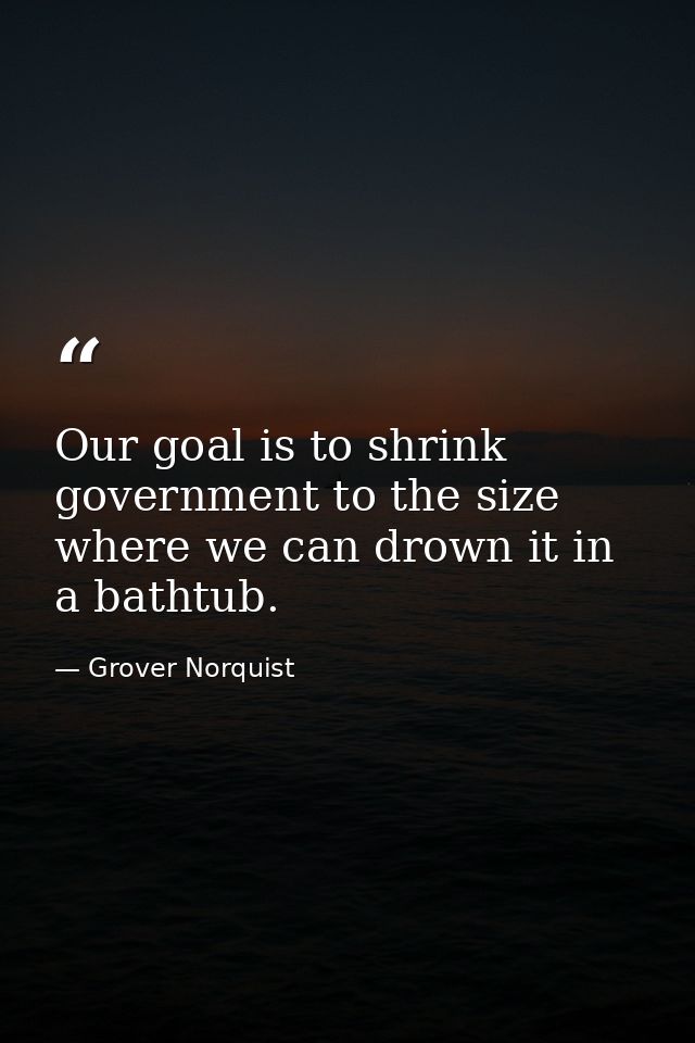 Our goal is to shrink government to the size where we can drown it in a bathtub. — Grover Norquist