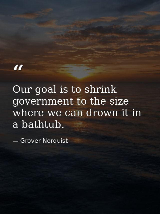 Our goal is to shrink government to the size where we can drown it in a bathtub. — Grover Norquist