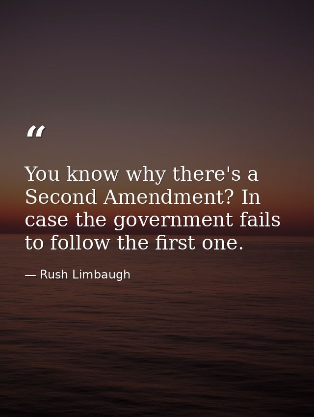 You know why there's a Second Amendment? In case the government fails to follow the first one. — Rush Limbaugh