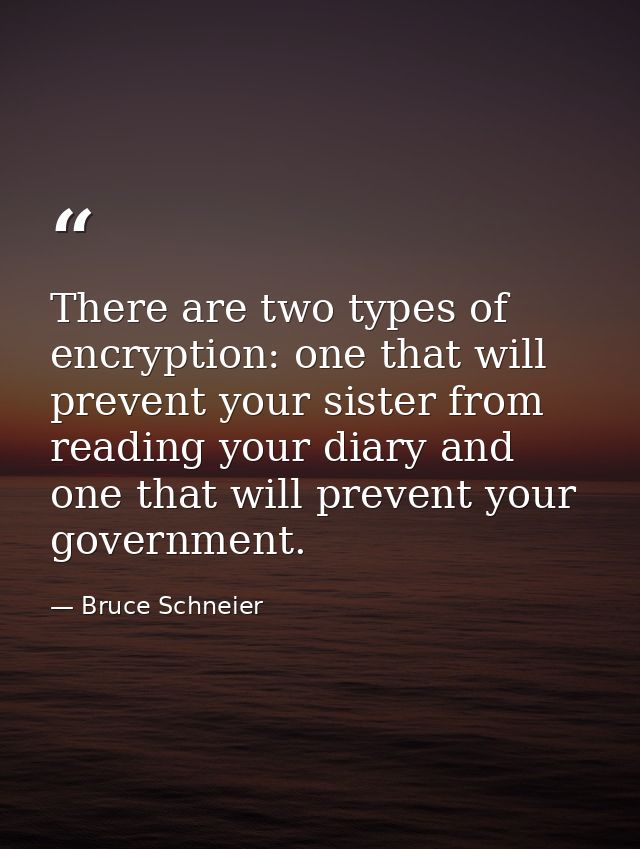 There are two types of encryption: one that will prevent your sister from reading your diary and one that will prevent y — Bruce Schneier