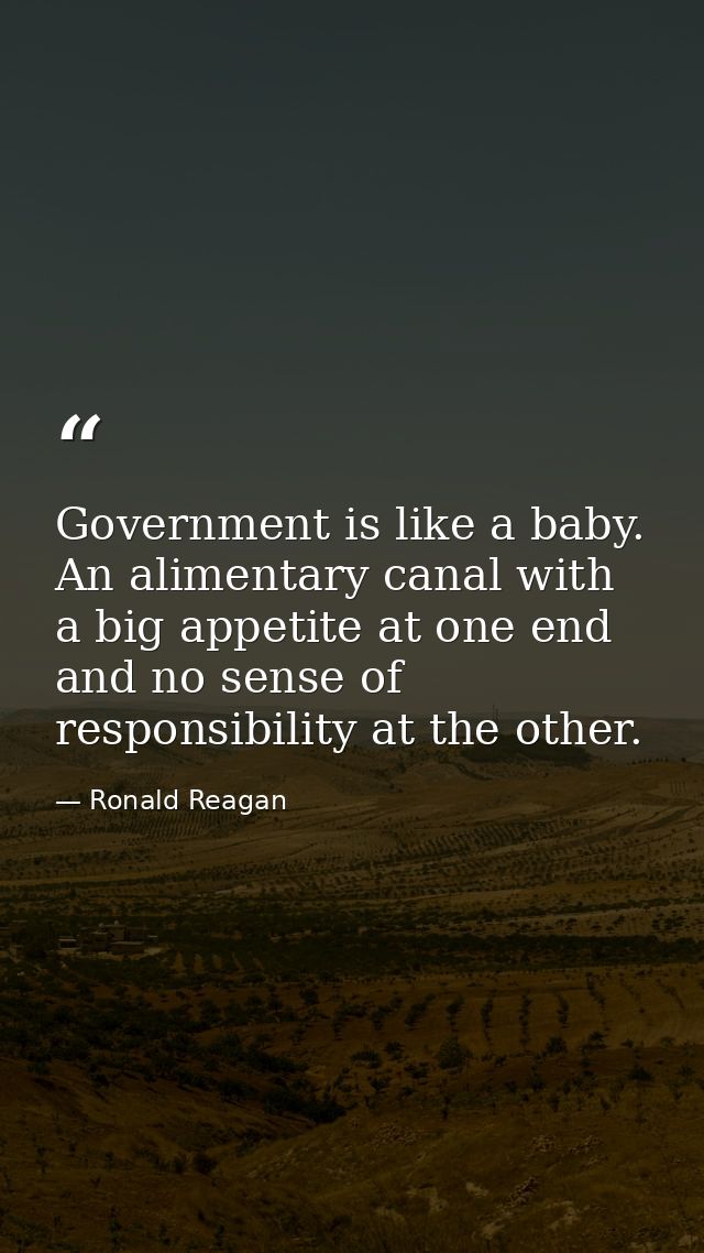 Government is like a baby. An alimentary canal with a big appetite at one end and no sense of responsibility at the othe — Ronald Reagan