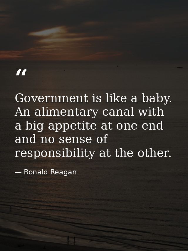 Government is like a baby. An alimentary canal with a big appetite at one end and no sense of responsibility at the othe — Ronald Reagan
