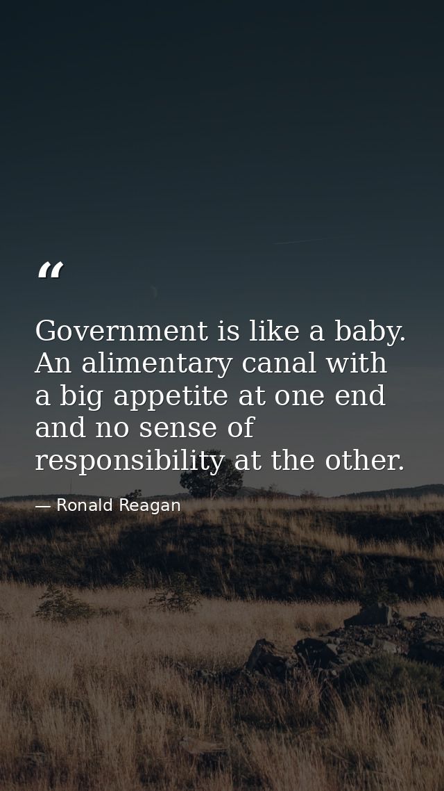 Government is like a baby. An alimentary canal with a big appetite at one end and no sense of responsibility at the othe — Ronald Reagan