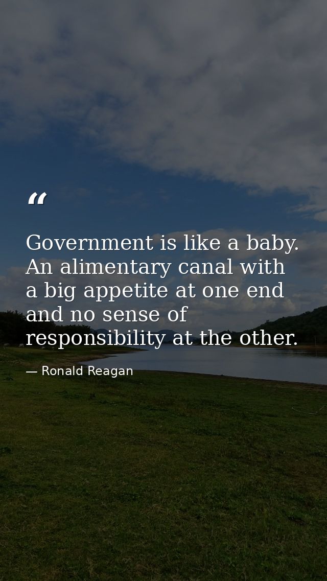 Government is like a baby. An alimentary canal with a big appetite at one end and no sense of responsibility at the othe — Ronald Reagan