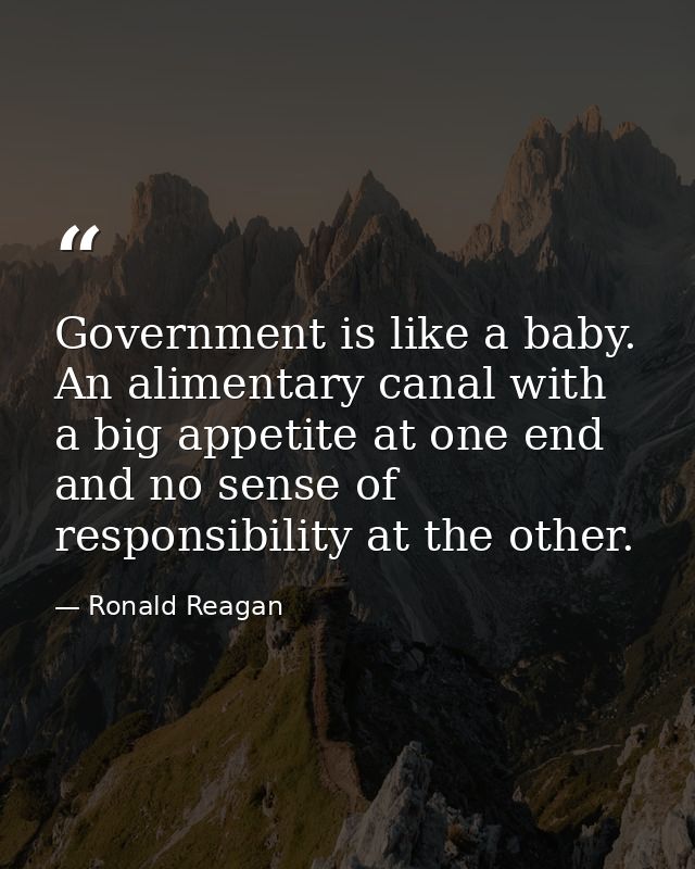 Government is like a baby. An alimentary canal with a big appetite at one end and no sense of responsibility at the othe — Ronald Reagan