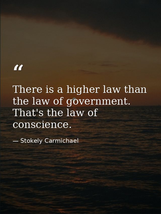 There is a higher law than the law of government. That's the law of conscience. — Stokely Carmichael