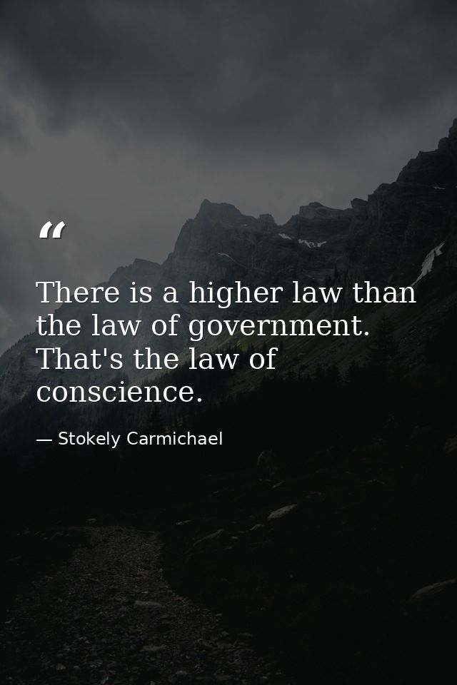 There is a higher law than the law of government. That's the law of conscience. — Stokely Carmichael