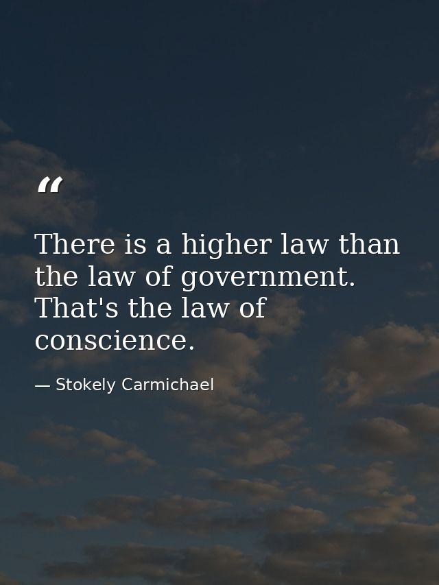 There is a higher law than the law of government. That's the law of conscience. — Stokely Carmichael