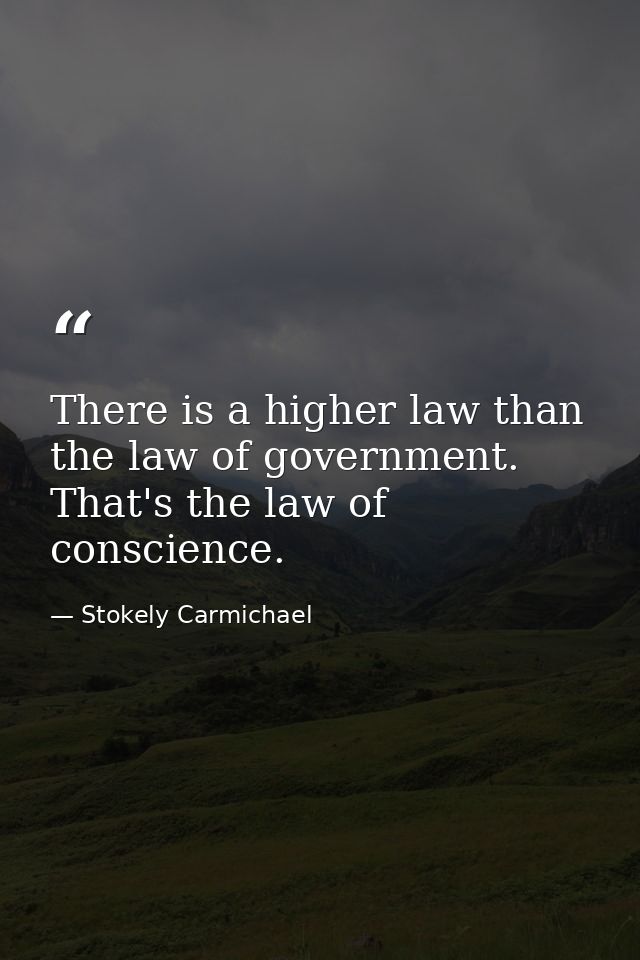 There is a higher law than the law of government. That's the law of conscience. — Stokely Carmichael
