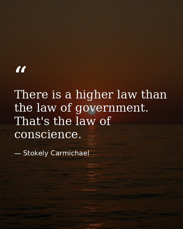 There is a higher law than the law of government. That's the law of conscience. — Stokely Carmichael