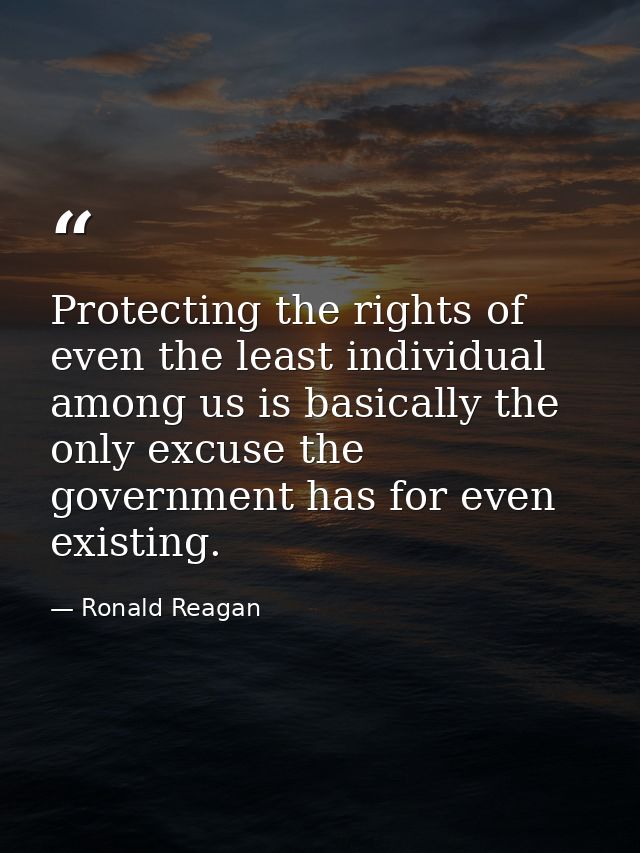 Protecting the rights of even the least individual among us is basically the only excuse the government has for even exi — Ronald Reagan