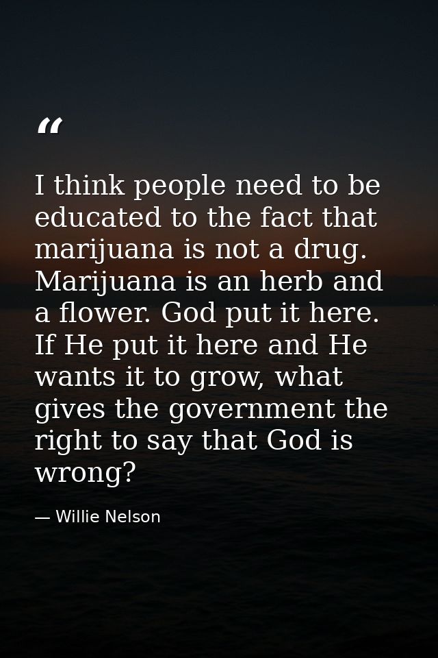 I think people need to be educated to the fact that marijuana is not a drug. Marijuana is an herb and a flower. God put  — Willie Nelson