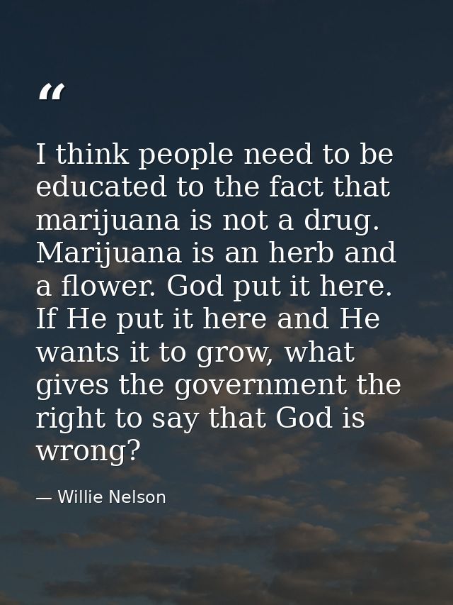 I think people need to be educated to the fact that marijuana is not a drug. Marijuana is an herb and a flower. God put  — Willie Nelson