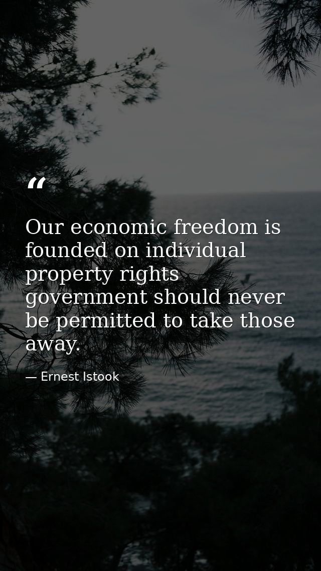 Our economic freedom is founded on individual property rights government should never be permitted to take those away. — Ernest Istook