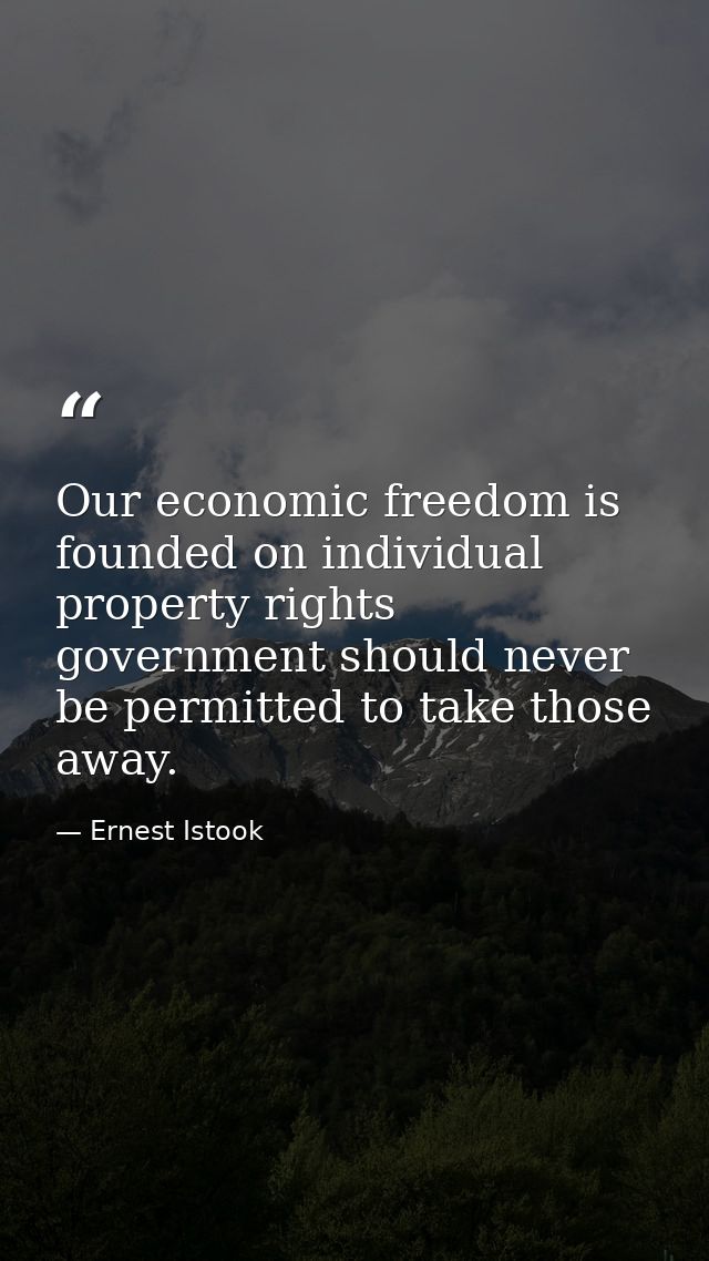 Our economic freedom is founded on individual property rights government should never be permitted to take those away. — Ernest Istook
