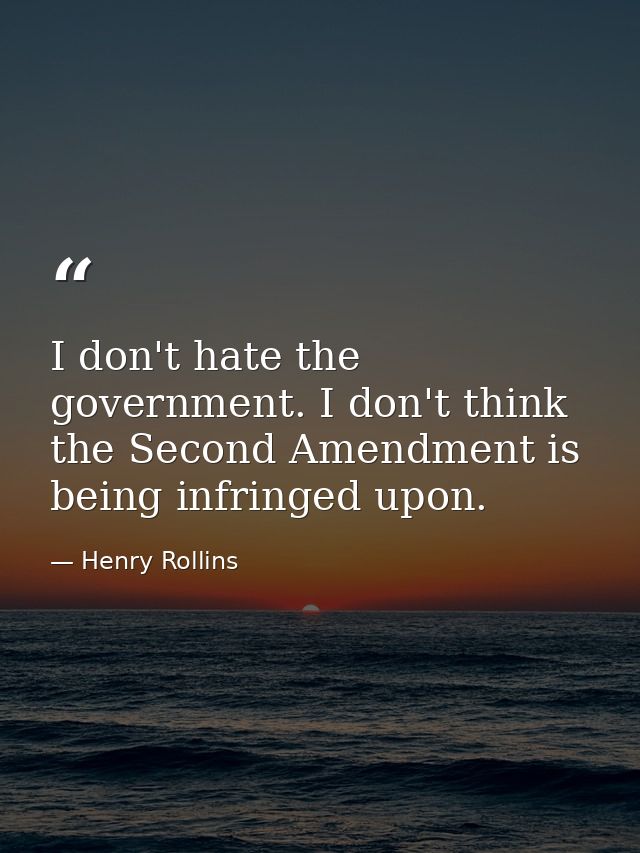 I don't hate the government. I don't think the Second Amendment is being infringed upon. — Henry Rollins