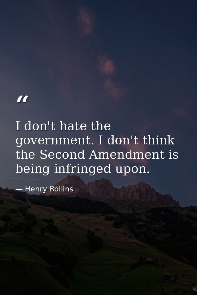 I don't hate the government. I don't think the Second Amendment is being infringed upon. — Henry Rollins