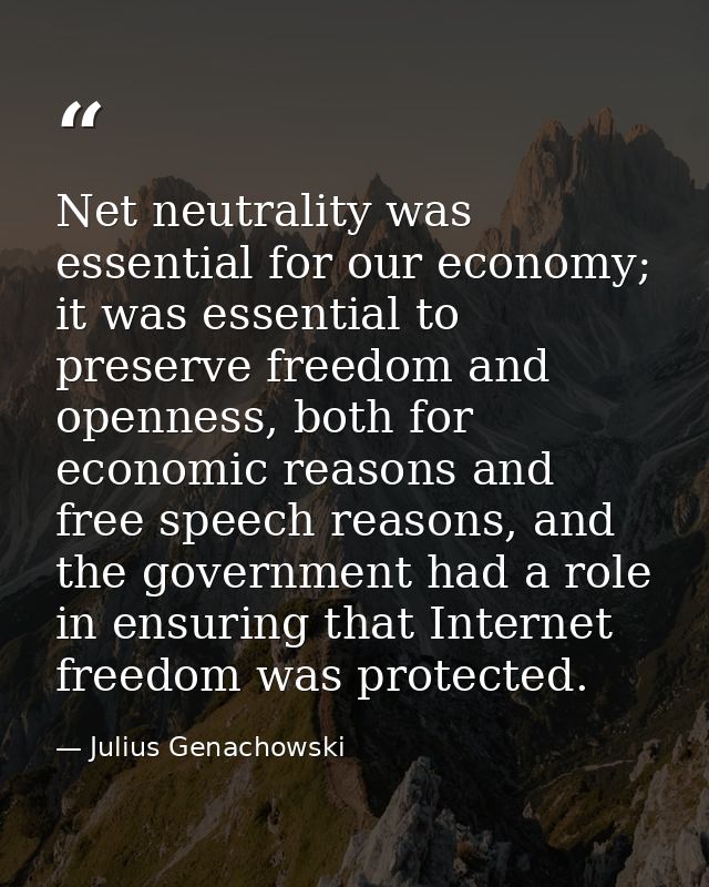 Net neutrality was essential for our economy; it was essential to preserve freedom and openness, both for economic reaso — Julius Genachowski