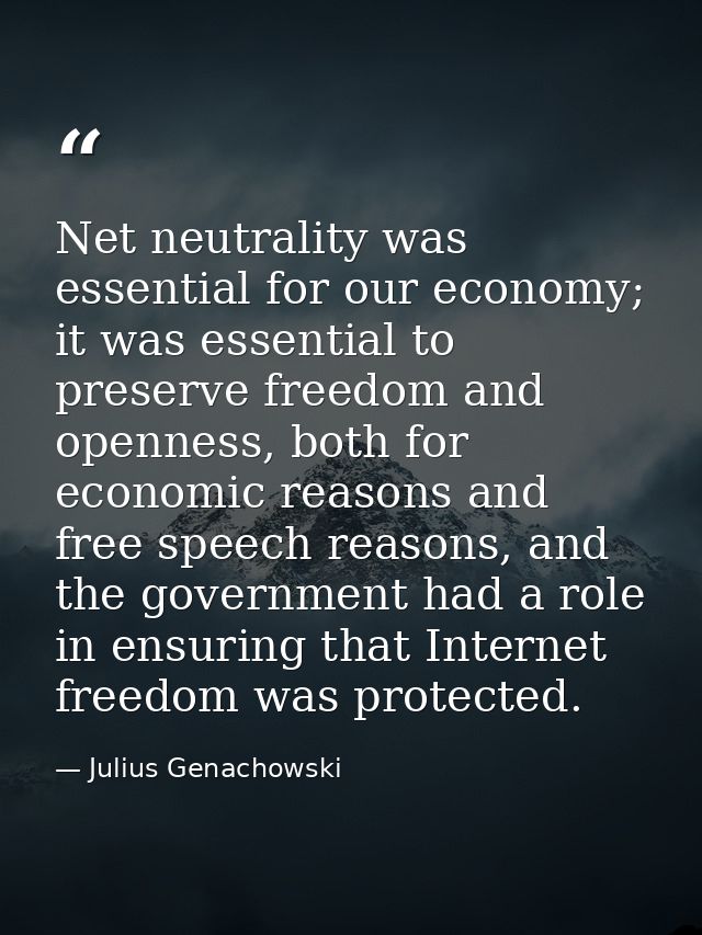 Net neutrality was essential for our economy; it was essential to preserve freedom and openness, both for economic reaso — Julius Genachowski