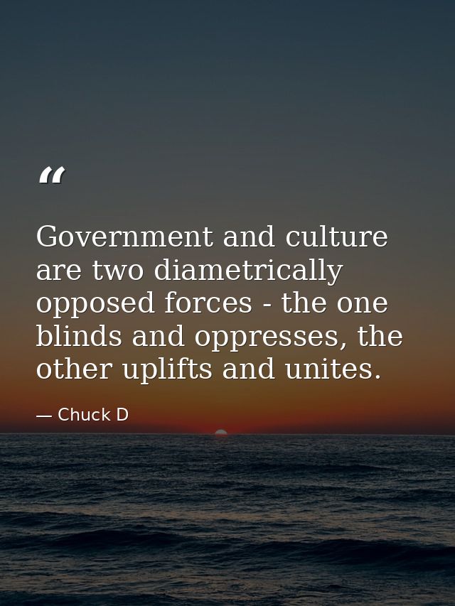 Government and culture are two diametrically opposed forces - the one blinds and oppresses, the other uplifts and unites — Chuck D