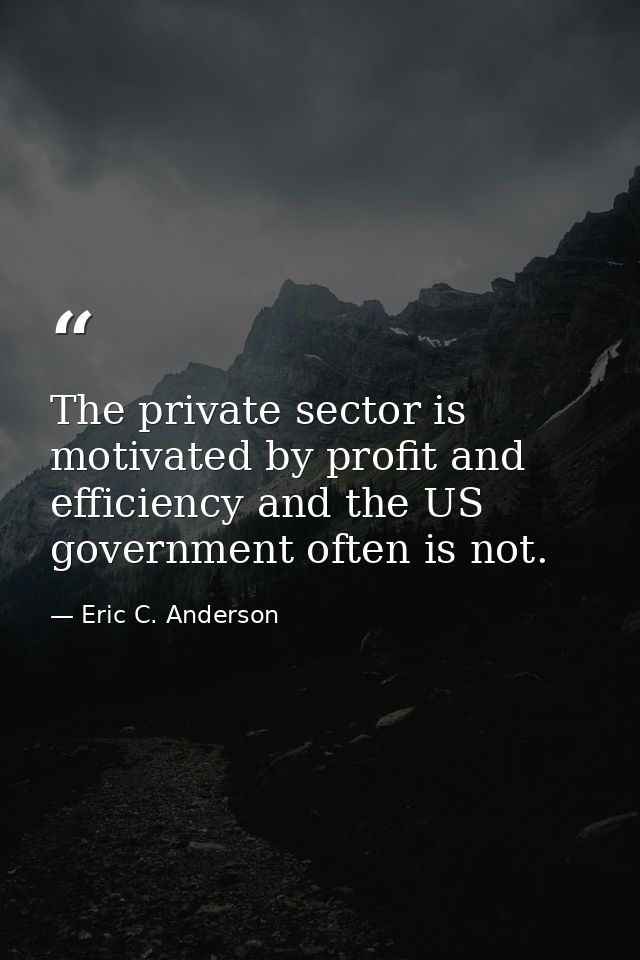 The private sector is motivated by profit and efficiency and the US government often is not. — Eric C. Anderson