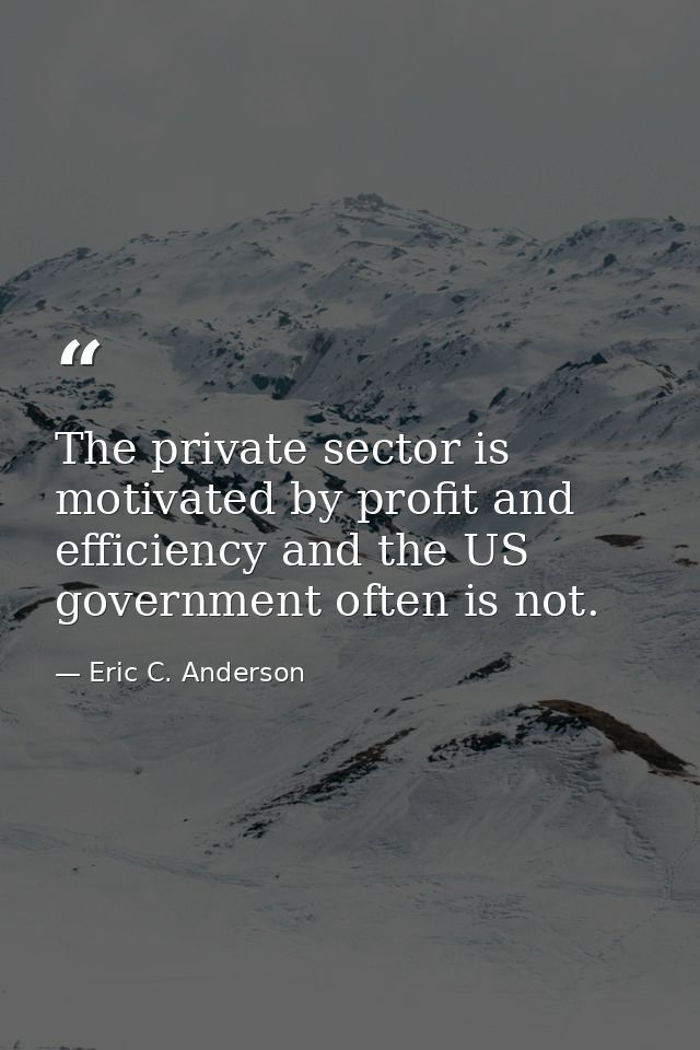 The private sector is motivated by profit and efficiency and the US government often is not. — Eric C. Anderson